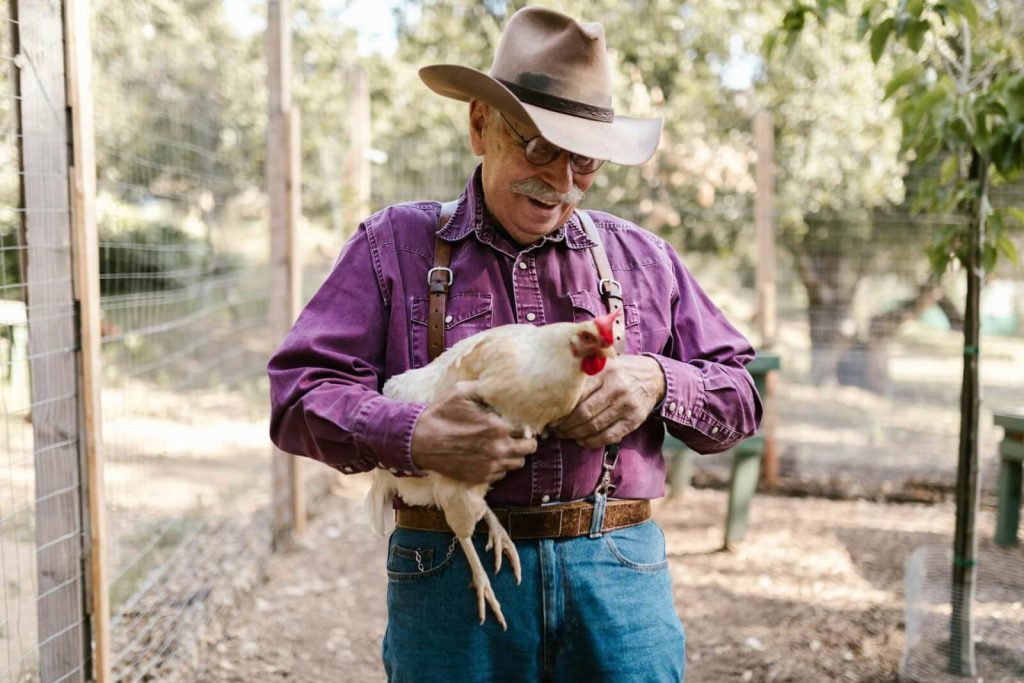 Mt Vernon, Ohio, farmer holds a chicken